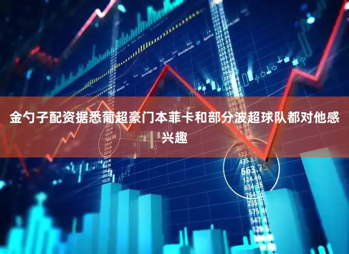 金勺子配资据悉葡超豪门本菲卡和部分波超球队都对他感兴趣