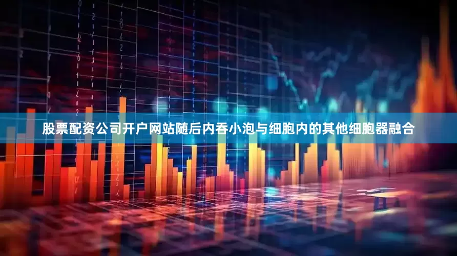 股票配资公司开户网站随后内吞小泡与细胞内的其他细胞器融合
