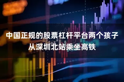 中国正规的股票杠杆平台两个孩子从深圳北站乘坐高铁
