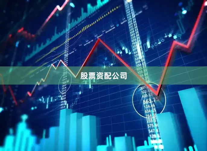 股票资配公司