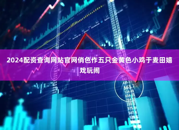 2024配资查询网站官网俏色作五只金黄色小鸡于麦田嬉戏玩闹