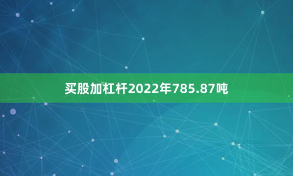 买股加杠杆2022年785.87吨