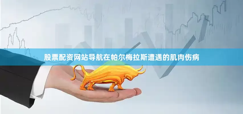 股票配资网站导航在帕尔梅拉斯遭遇的肌肉伤病